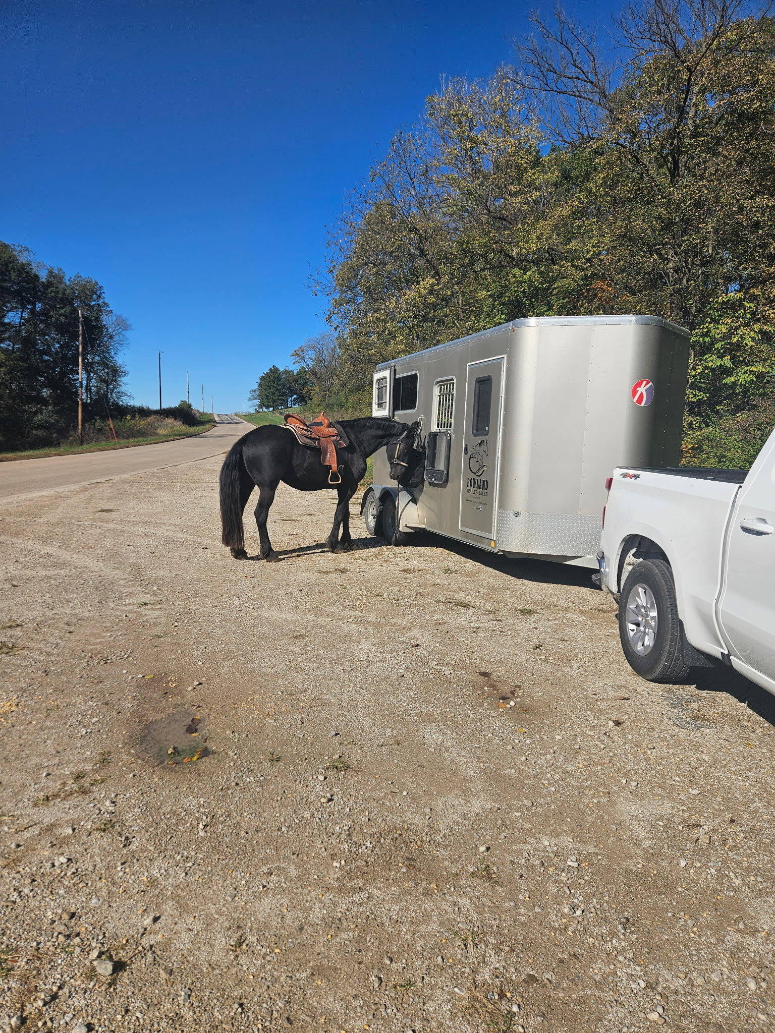 Kiefer Horse Trailer