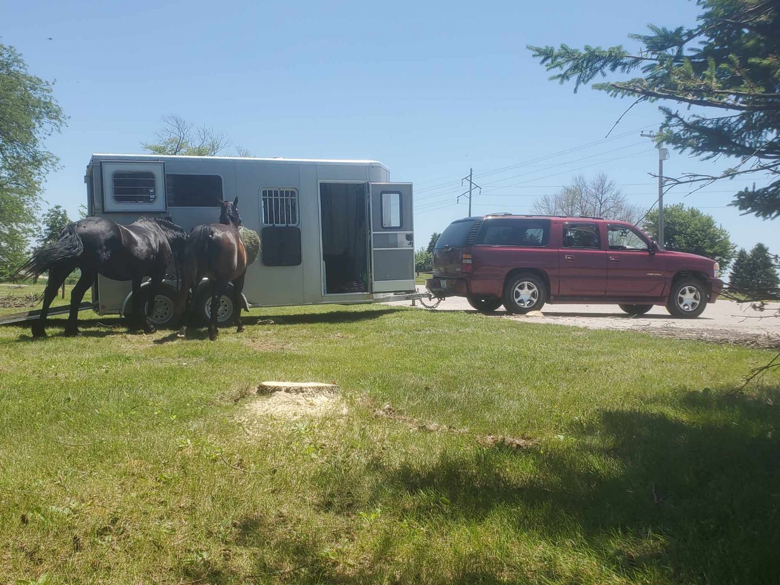 Kiefer Horse Trailer